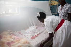 Gov’t calls for joint efforts against malaria