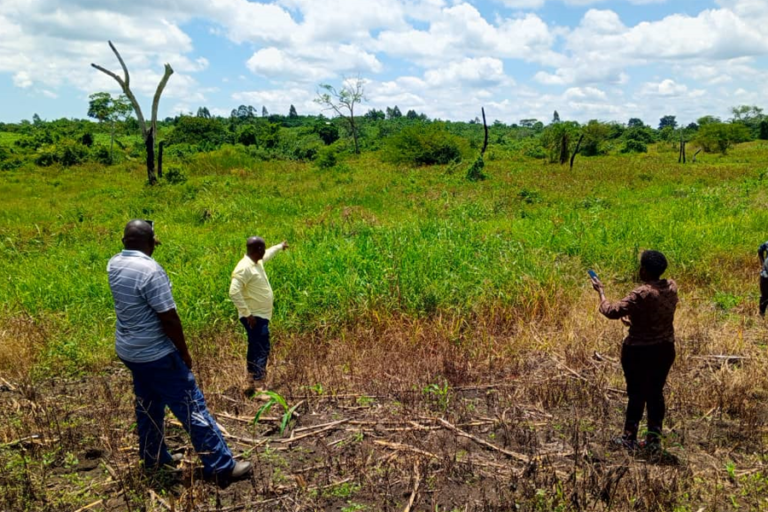 Corruption Fueling Rampant Environmental Destruction, Warns Transparency International