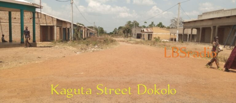 Dokolo District’s drive towards implementing a low-cost ceiling on Kaguta Street Started in style